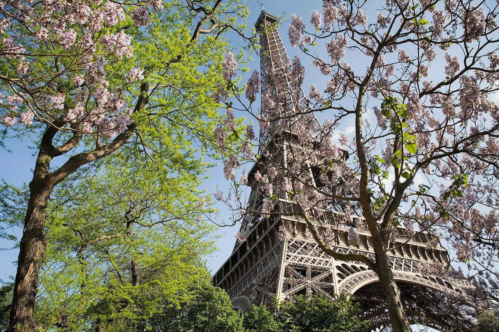 Tháp Eiffel giữa mùa xuân, Paris, Pháp