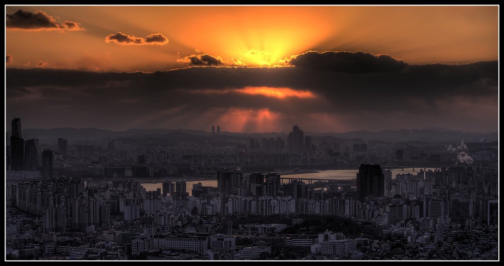 Hàng cây rợp lá vàng trên đảo Nami Hàn Quốc