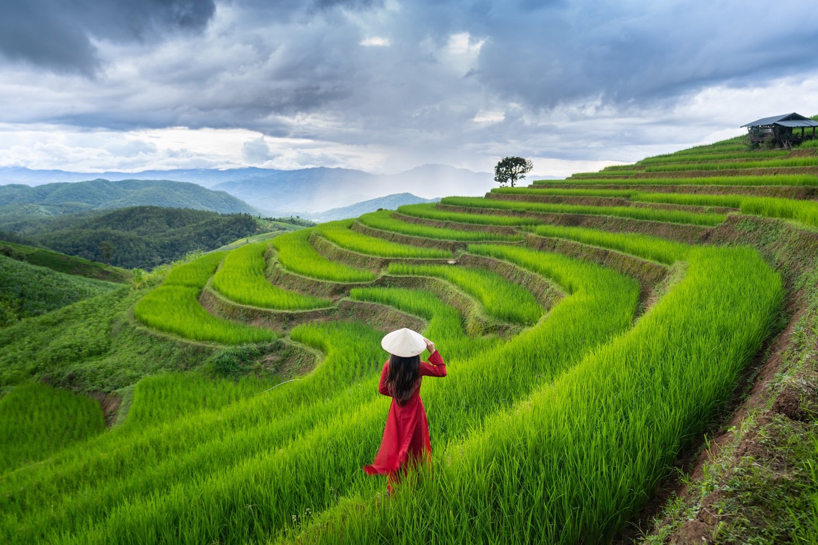 Đoàn khách New Star Tourism chụp ảnh tại điểm tham quan nổi tiếng