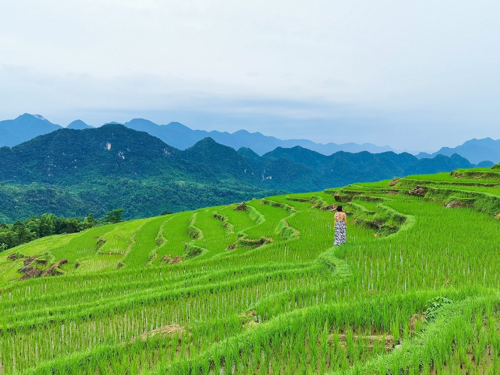 Ruộng bậc thang và bản Pù Luông