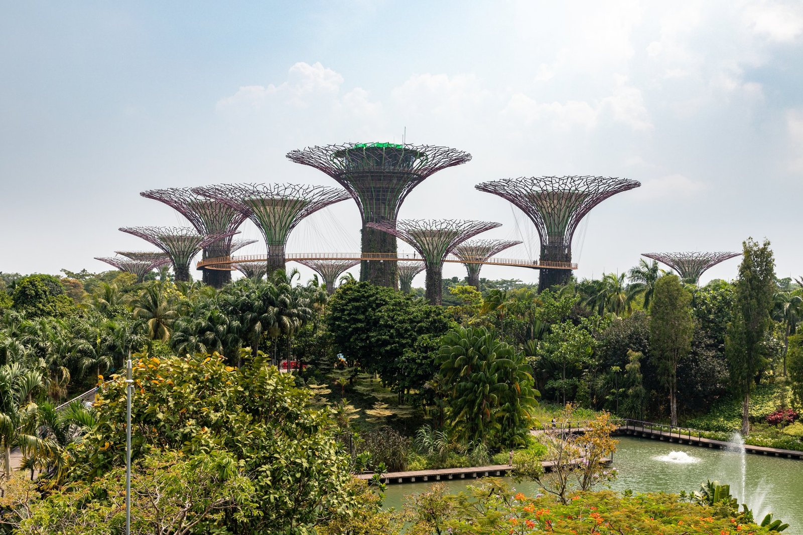 Siêu cây Gardens by the Bay