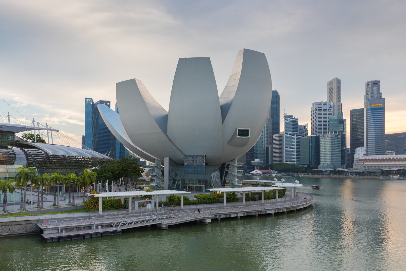 Gardens by the Bay Singapore về đêm