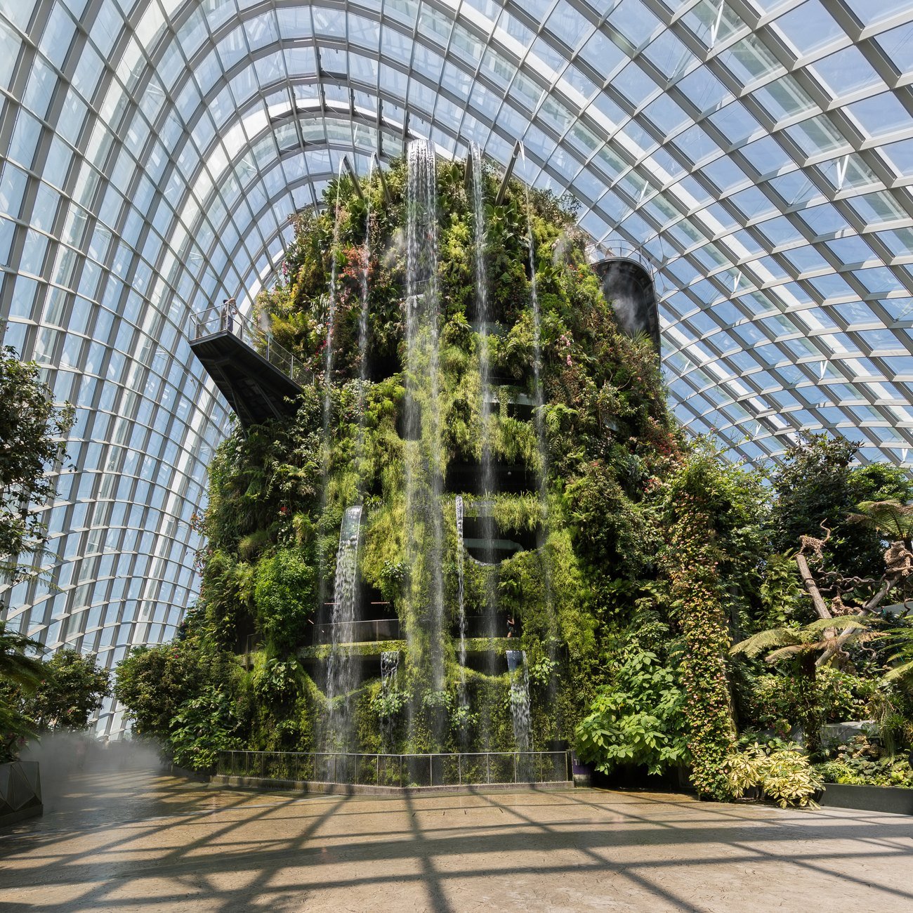 Gardens by the Bay Singapore với những siêu cây phát sáng
